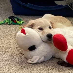 Meet your Posher, Greg